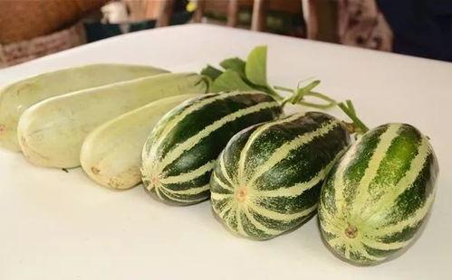 網爆網紅吃瓜圖片大全