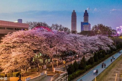 抖音網(wǎng)紅吃瓜入口在哪,入口之謎大揭秘