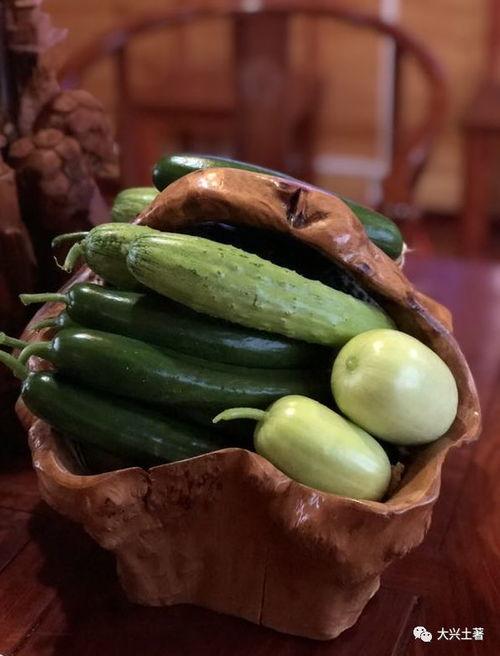 合租網(wǎng)紅吃瓜,揭秘娛樂圈背后的真實(shí)生活