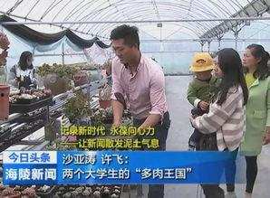 吃瓜最新事件泰州新聞網(wǎng),揭秘近期熱點事件，吃瓜群眾聚焦焦點