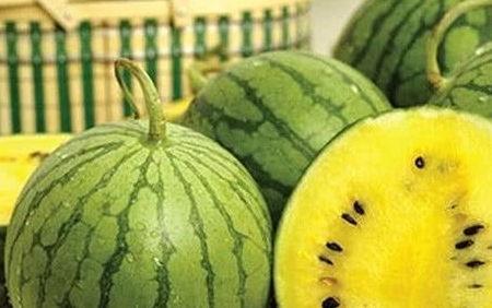 如何辨別吃瓜官網的真偽,教你輕松辨別真偽