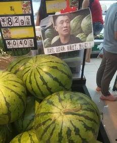 網紅爆料吃瓜噴水在線,吃瓜噴水，揭秘娛樂圈幕后真相