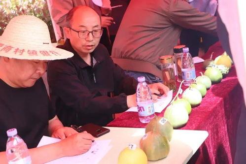 張津喻吃瓜網(wǎng),揭秘娛樂圈幕后故事