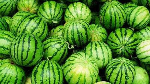 網爆網今日吃瓜,娛樂圈最新爆料，揭秘明星幕后故事