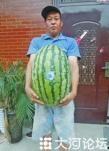 51吃瓜網官網每日大賽,每日大賽精彩回顧，瓜友狂歡盛宴