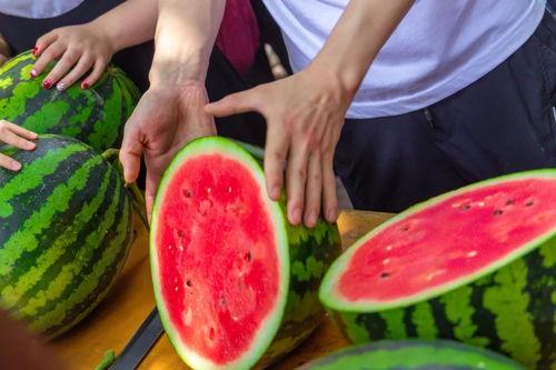 醫(yī)科學(xué)校吃瓜爆料,吃瓜爆料揭露驚人真相