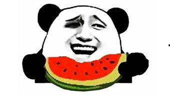 吃瓜網回家,揭秘娛樂圈背后的故事