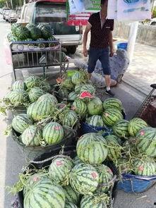 臨淄探店網(wǎng)紅吃瓜事件